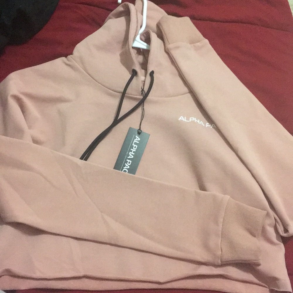 Alphapack fitness Cropped Hoodie in Mauve